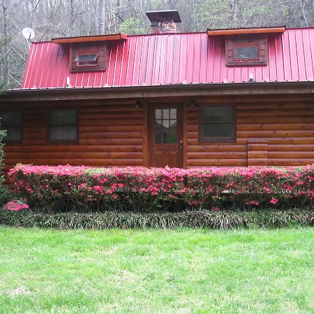 Buffalo Creek Bed&Breakfast Robbinsville Esterno foto