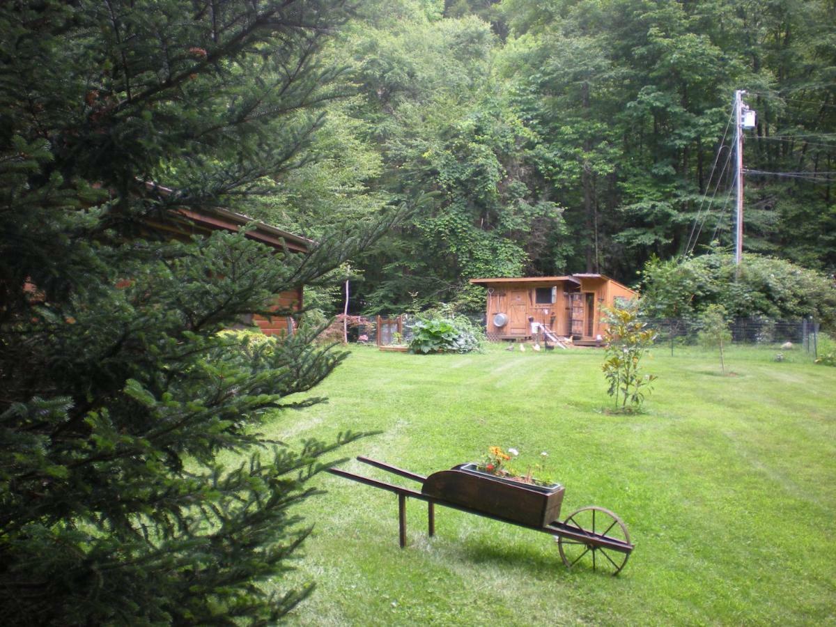 Buffalo Creek Bed&Breakfast Robbinsville Esterno foto